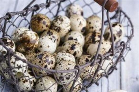Shit eggs