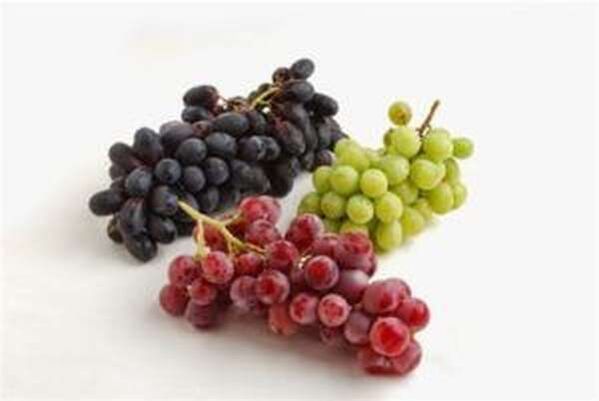 Vine