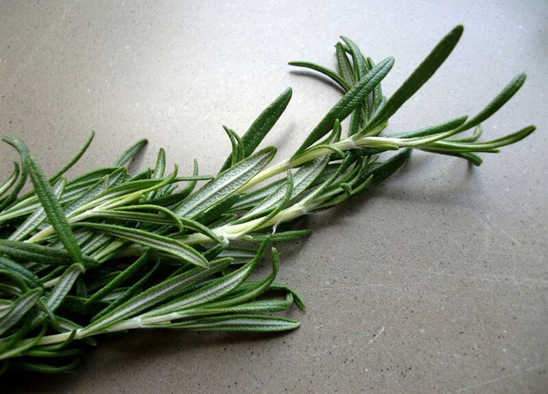 Rosemary to increase potential